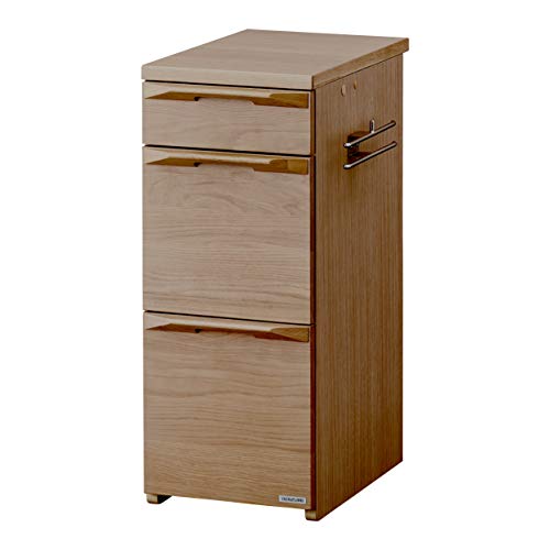 KOIZUMI(コイズミ学習机) 学習用 スリムキャビネット 収納 ブラウン W30D50.7H73 ファリス WO色 FLB-979WO