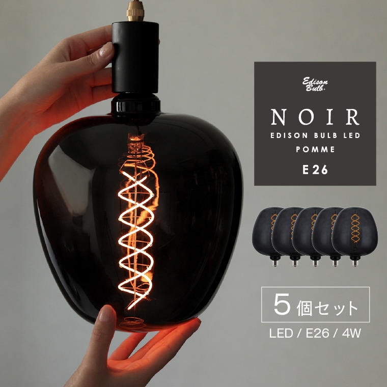 5個セット エジソンバルブLED ノワール E26 LED電球 ポム 林檎型 裸電球 おしゃれ かっこいい かわいい 大きい ビッグ ラージ グランデ 特大 ユニーク ボール形 ボール球 店舗照明 18,744円