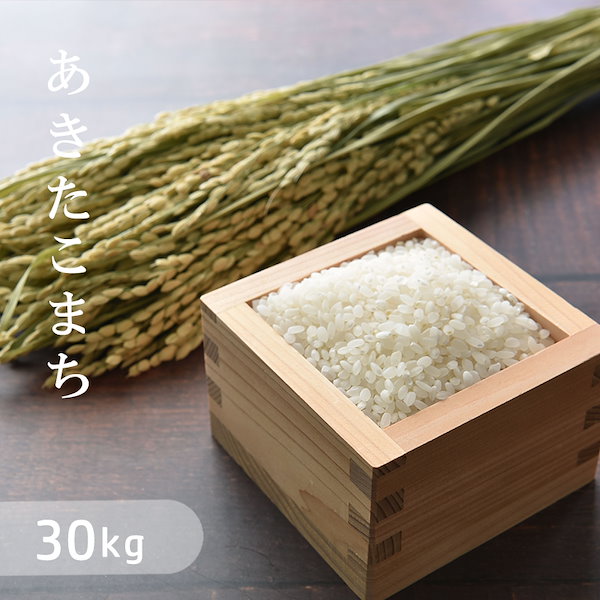 令和5年 岡山県産 あきたこまち 30kg - 米・雑穀