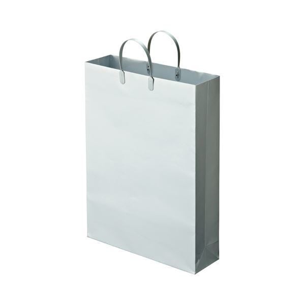 （まとめ） TANOSEE ラミネートバッグ 特大 ヨコ380タテ510マチ幅110mm シルバー 1パック（10枚） 2セット 8,839円