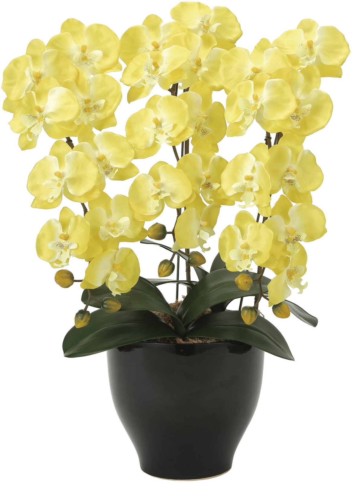 光触媒加工アートフラワー 胡蝶蘭セリース 日本製 イエロー FL-2764