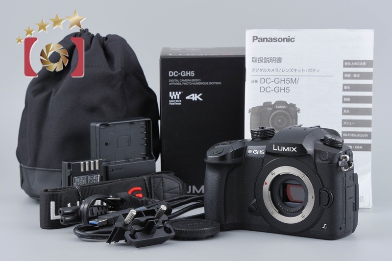 LUMIX DC-GH5 ミラーレス一眼カメラ 元箱付き