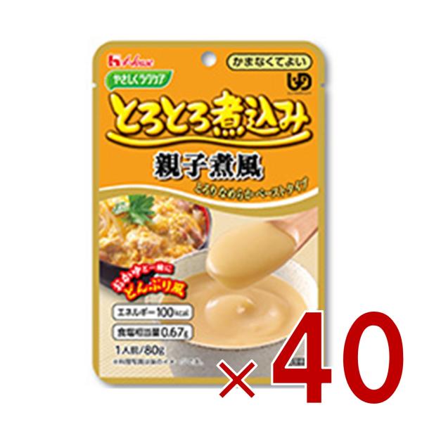 ハウス食品 やさしくラクケア とろとろ煮込み 親子煮風 80g ハウスギャバン ギャバン ケアフード 介護食品 レトルト かまなくてよい 惣菜 40個