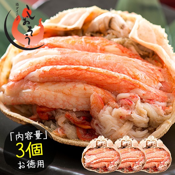 越前産ズワイガニ 甲羅盛り 中サイズ3個（甲羅横幅 約11cm）越前産 ずわい蟹 ずわい甲羅盛り