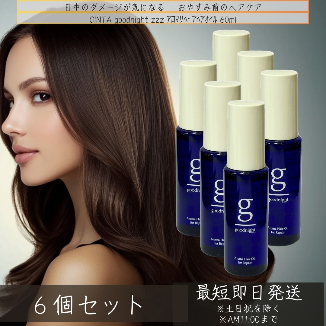 シンタ グッドナイト アロマリペアヘアオイル 60ml ×6個セット グッドナイトzzz...　good night zzz... 美容室専売 ヘアオイル ヘアケア アロマイル つや髪