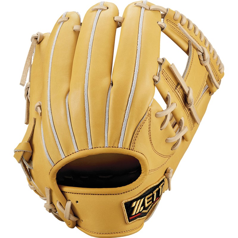 硬式グラブ(プロステイタス)2201 野球ソフトグラブ 硬式 (bprog766-5432)