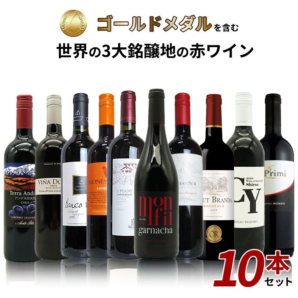 【送料無料】SOY 10年連続受賞店舗が厳選！日頃の感謝をこめて！金賞を含む世界の3大銘醸地の赤ワイン10本セット！ ワインセット