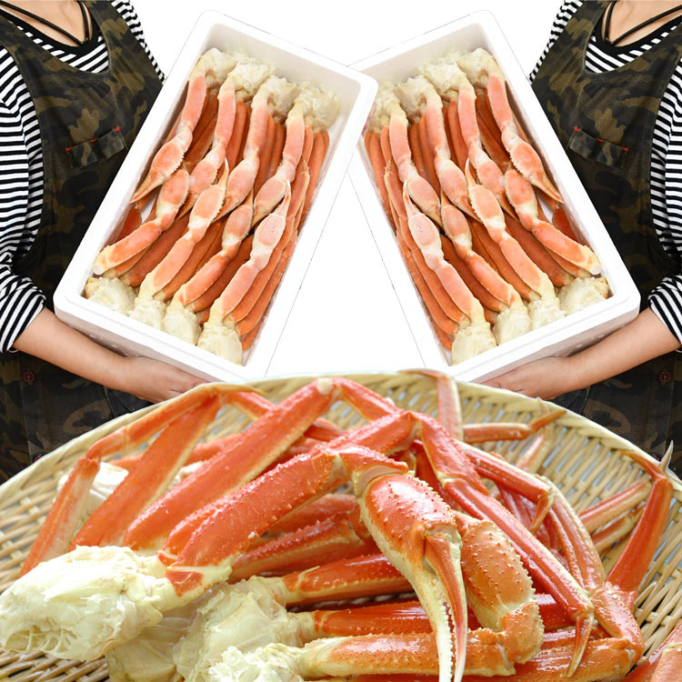 【大型】ズワイガニ 脚 総重量 4kg 前後 （ 2kg 5～6肩前後×2箱） ずわい ズワイ カニ 蟹 かに 脚 折脚たし脚入る場合があります