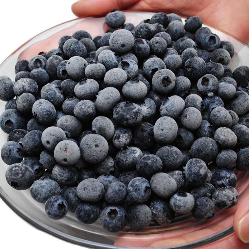 山形県産 冷凍 ブルーベリー 3袋セット 約1kgを3袋お届け 合計 約3kg 国産 ブルーベリー フルーツ 3kg