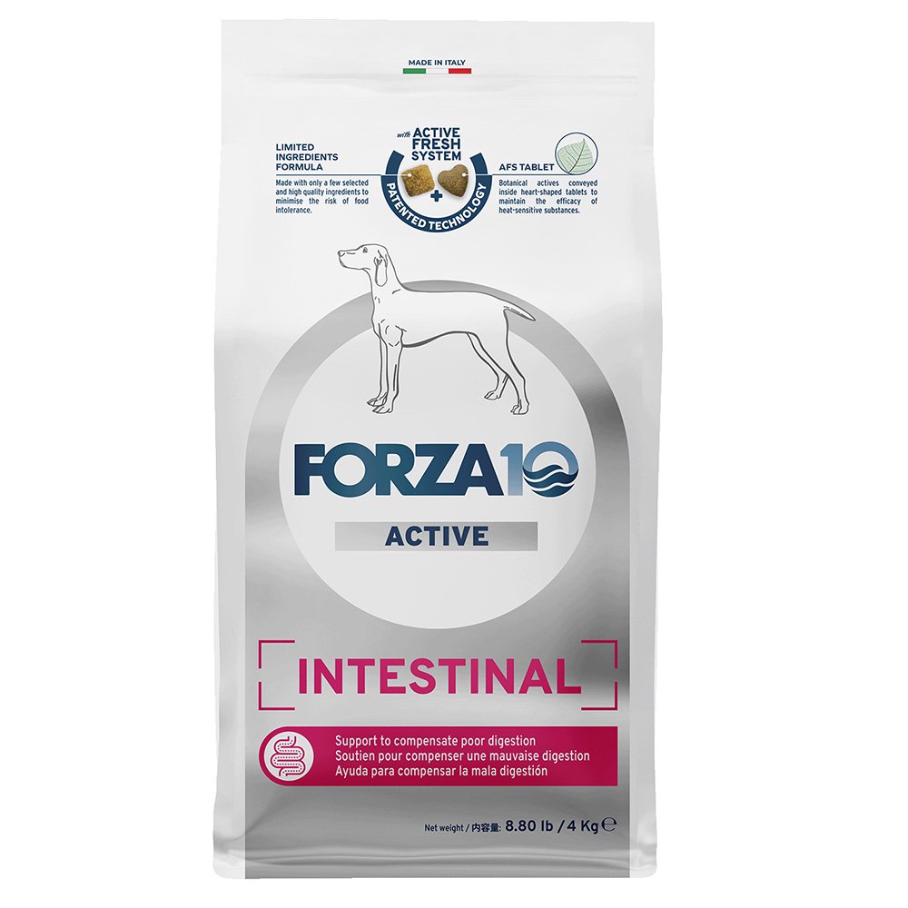ＦＯＲＺＡ１０（フォルツァ１０）　アクティブライン　インテスティナル　胃腸ケア　中粒　４ｋｇ　ＣＲＣ45―03―73―00―00