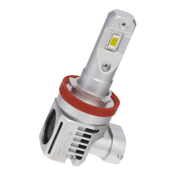 GIGA LEDヘッド&フォグバルブC5500 6000K H8/9/11/16