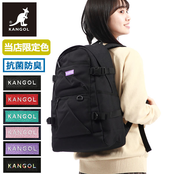 リュック Alterna バックパック デイパック リュック 抗菌 防臭 23L A4 B4 13.3インチ ノートPC 通学 部活 限定カラー 限定色 250-1290