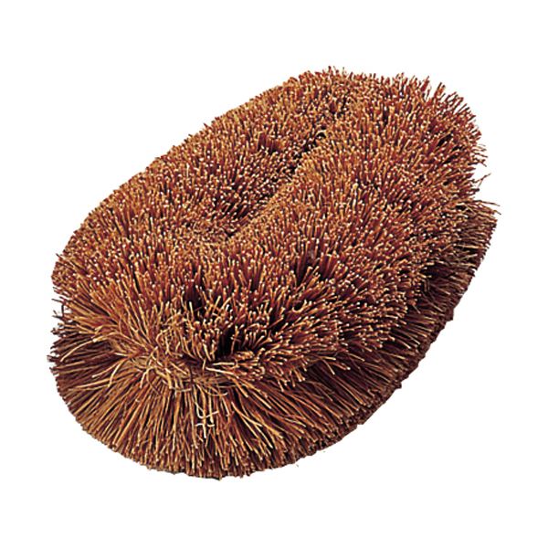 （まとめ）TRUSCOナチュラルブラシ「いがぐり君」 140mm TW-M 1個[x20セット]