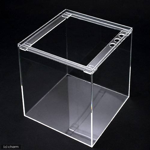 水槽　アクリル水槽　ラクシス　Ｎｏ．６　（２５０X２５０X３００ｍｍ）　２５ｃｍ水槽　ＣＲＣ10―11―04―10―00