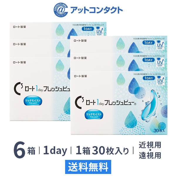 ロート ワンデーフレッシュビュー リッチモイスト 30枚 6箱