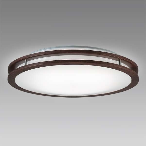 シーリングライト 12畳 洋風 LED 調色 調光 昼白色 昼光色 電球色 リモコン有 照明 天井 HLDC12304SG