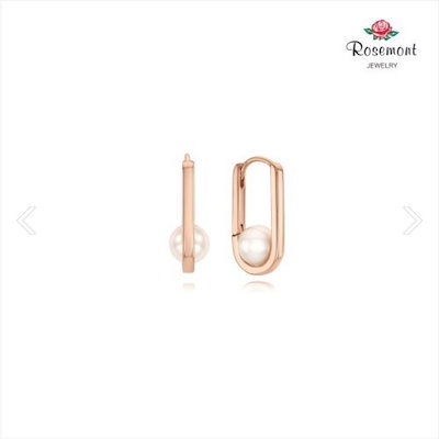 1905年 KPM ベルリン 手描き フィッシュプラター 51×24㎝ 【公式通販】