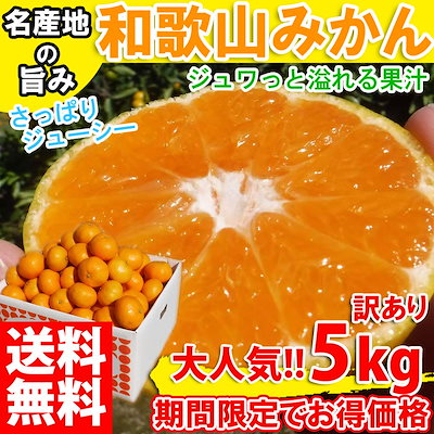 予約販売10月下旬頃から順次発送 みかん 訳あり 5kg ...のサムネイル