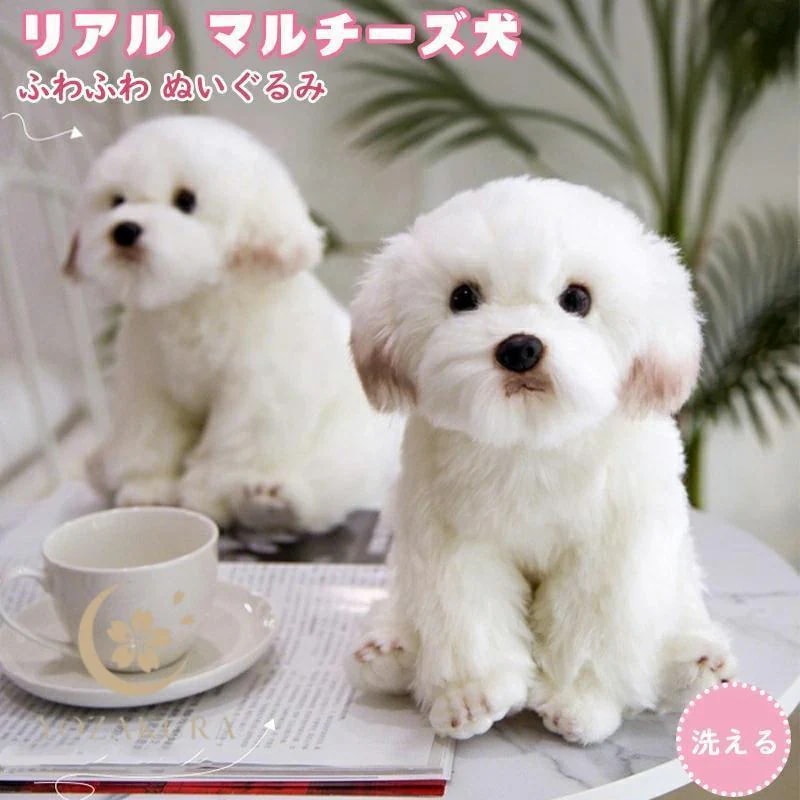 ぬいぐるみ 犬 マルチーズ 犬 マルタ子 犬ぬいぐるみ 人形 子供 男の子 おもちゃ ギフト 装飾工芸品 イヌ ふわふわ もこもこ 抱き枕 誕生日 記念日 プレゼント