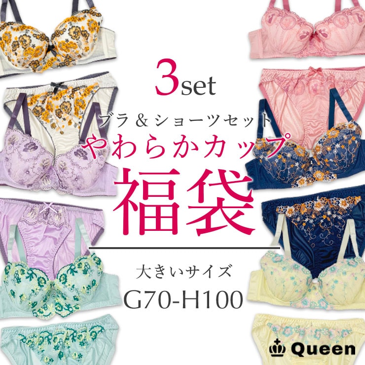 大きいサイズ ブラセット 福袋 刺繍ブラ ショーツセット G70 G75 G80 G85 G90 G95 G100 H70 H75 H80 H85 H90 H95 H100
