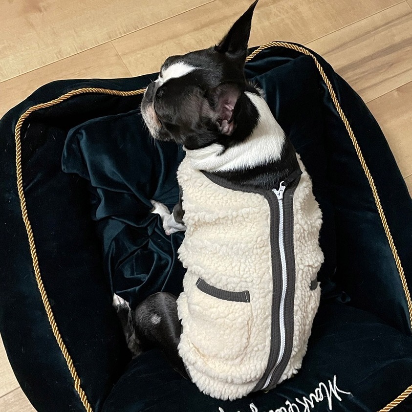 ドッグウェア 冬用 暖かい 犬 服 犬の服 犬用 ペット服 アウター ベスト ファスナー ボア 散歩 家着 おしゃれ 可愛い かわいい 防寒 汚れ防止 抜け毛対策 小型犬 アイボリー モカ ピンク