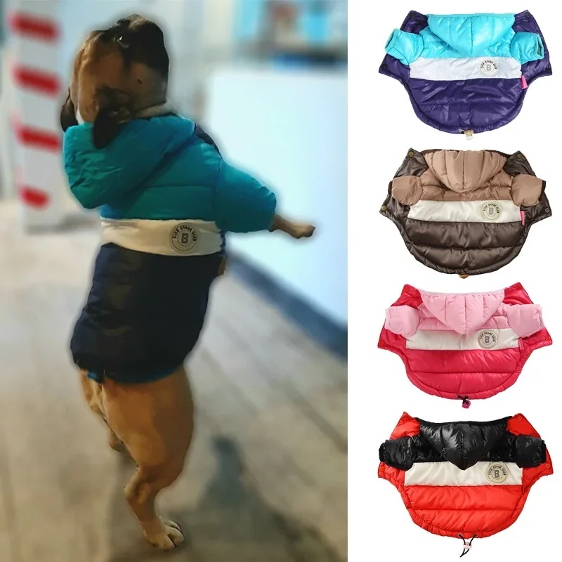 防水ビッグ犬