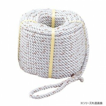 プロメイト ナイロンロープ三ッ打ち　φ12x100m R-1210N