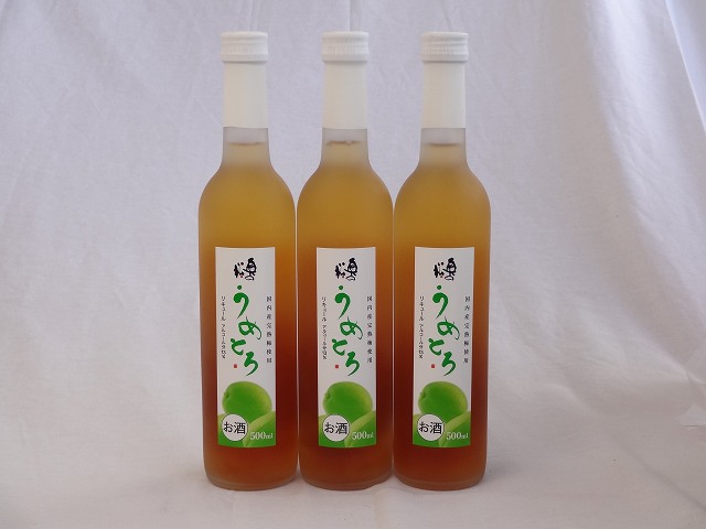 完熟梅の味わいと日本酒のうまみをたっぷりの梅リキュール　うめとろ　500ml3本