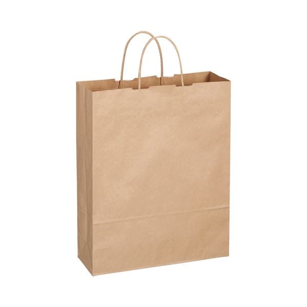 （まとめ） TANOSEE 紙手提袋 丸紐 大 ヨコ320タテ400マチ幅115mm 茶 1パック（50枚） 10セット