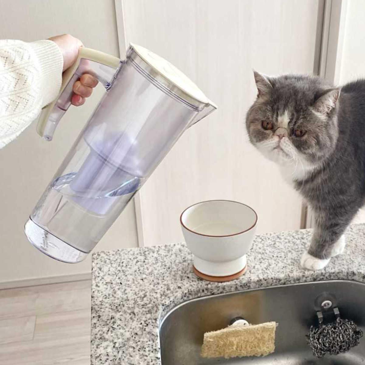 まるっと軟水大容量 750ml 犬猫用 ペット用浄軟水器 ペット用浄水器 軟水器 ろ過