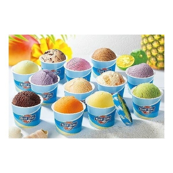 フォーモストブルーシール 冷凍 ブルーシール 24個 メーカー直送