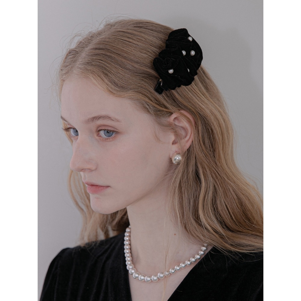 ジャン・ポール・クラリッセパールベルベットシャーリング隣りのゲッピンJP 22 190CC