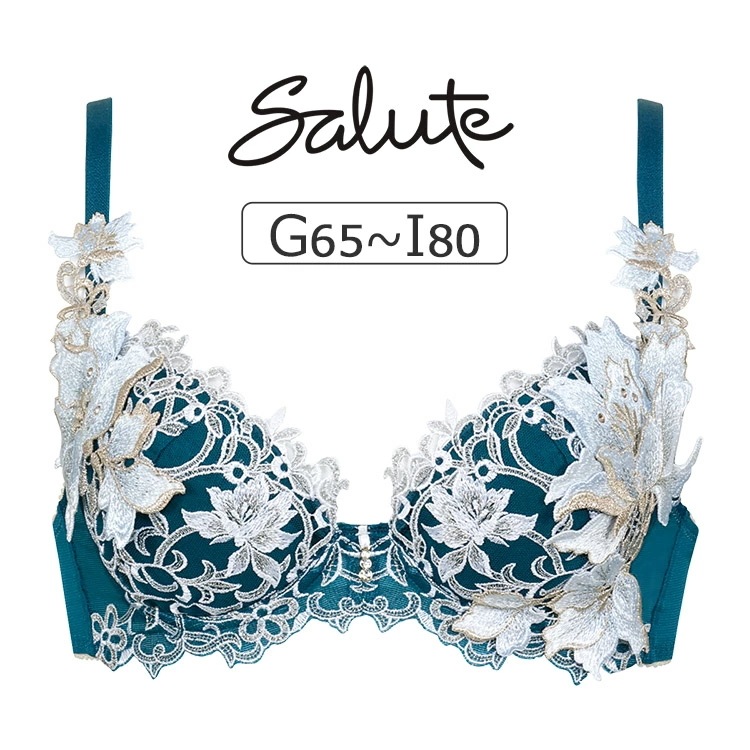 ワコール サルート 12G ブラジャー単品 P-upタイプ GHIカップ アンダー65/70/75/80cm BTJ412