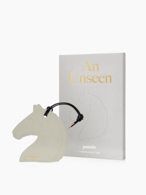 ペサードAn Unseenフラグメントタグ