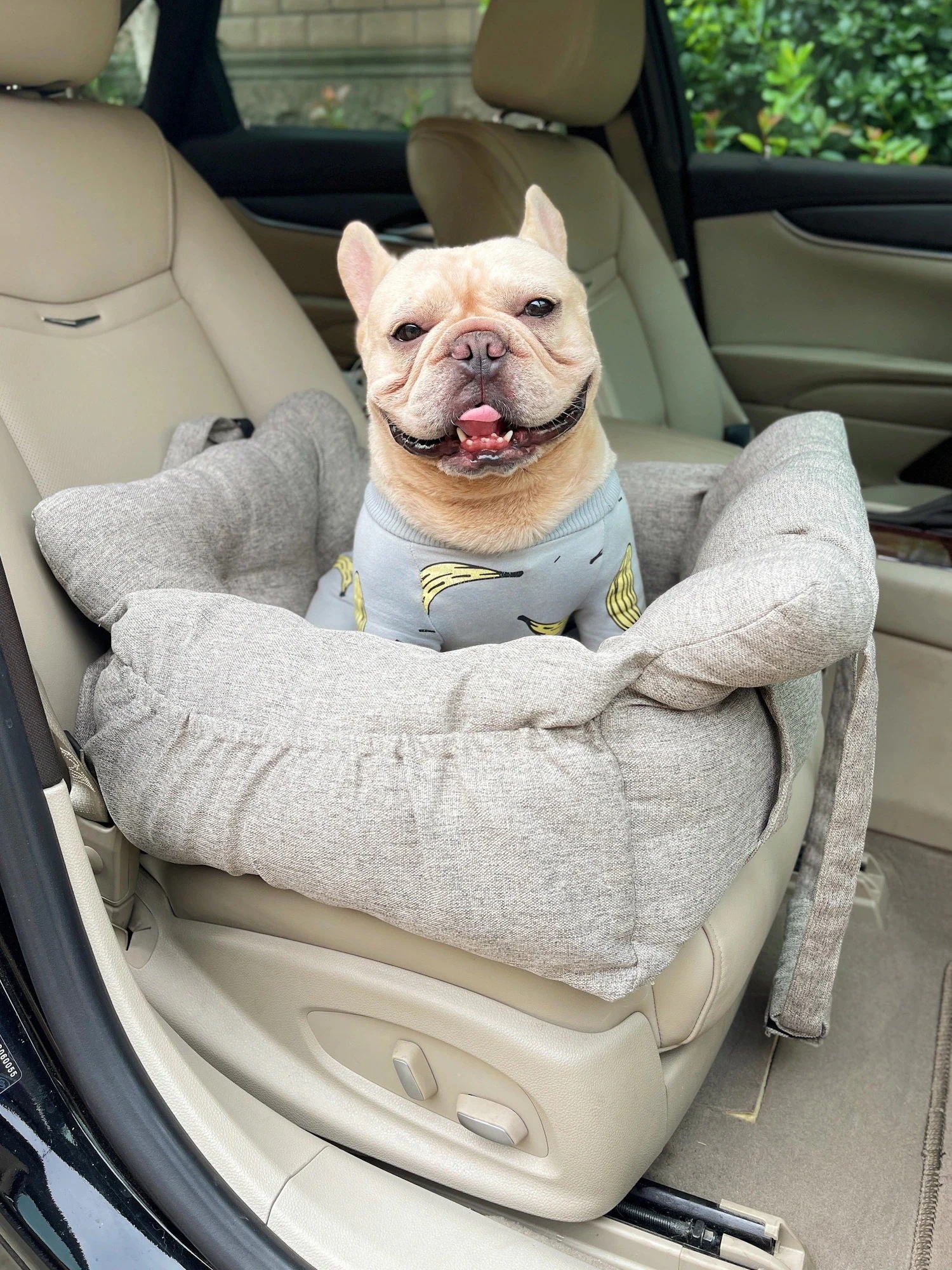 犬 ベッド ラディカ ドライブベッドキャリー 10KG以内の犬向け おしゃれ カーベッド ソファーベッド お出かけ バッグ 便利 多機能