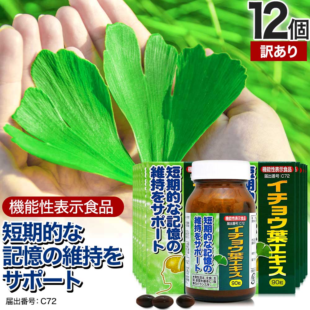 訳あり 機能性表示食品イチョウ葉エキス 90粒*12個 約360日分 賞味期限2025年11月のみ イチョウ葉サプリ イチョウ葉エキス サプリメント サプリ