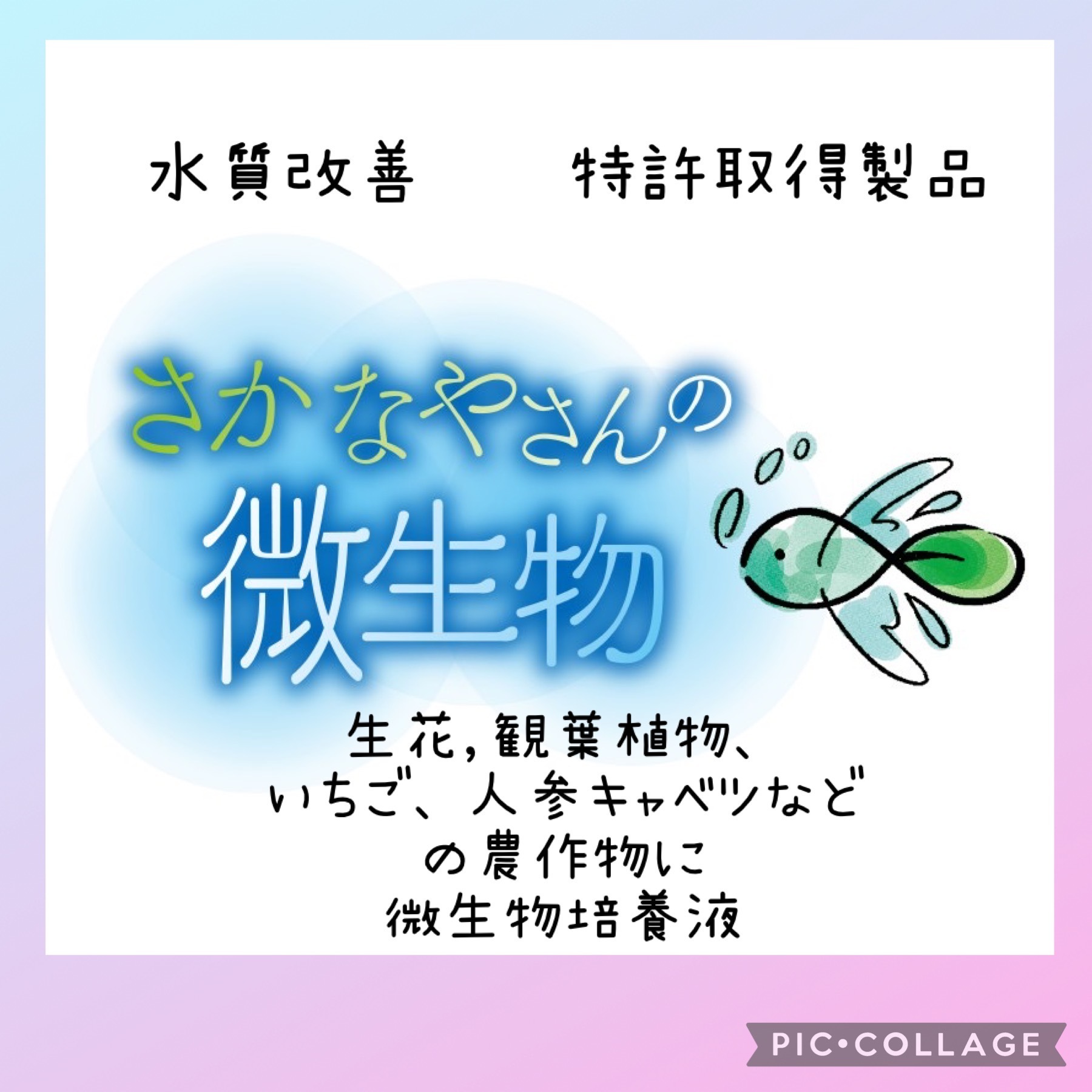 特許取得製品水草フサフサ！増やしたい方さかなやさんの微生物培養液