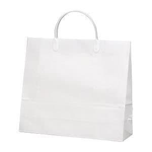 （まとめ買い）マツシロ 白無地コーティングバッグNo.6 10枚 ｼﾛﾑﾁﾞｺｰﾃｨﾝｸﾞﾊﾞｯｸﾞ 6 00001807 [x3] 5,500円