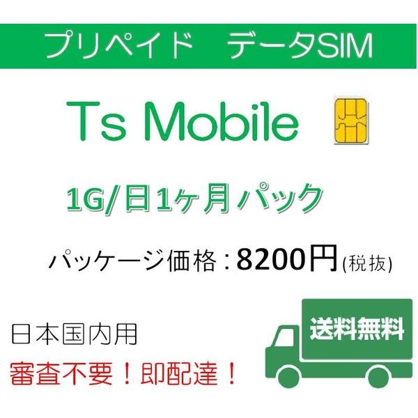 データ通信 日本国内 SIM 高速データ容量1G/日1ヶ月プラン