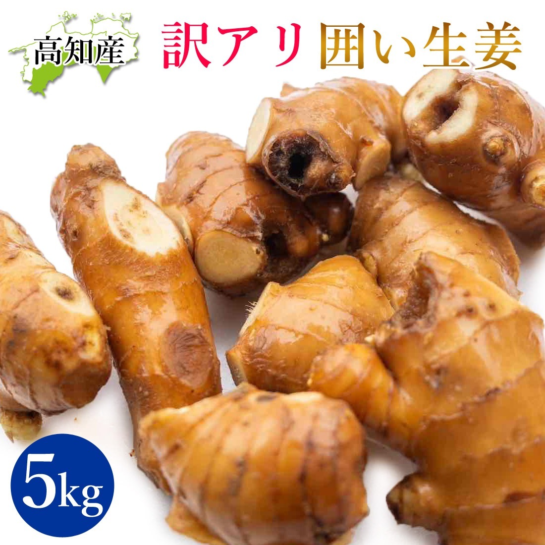 【山北産直】 生姜 訳あり 5kg 高知県産 国産 しょうが 農家直送 高知産 ショウガ 5キロ B品 高知生姜 自宅用 業務用 ヤマト発送