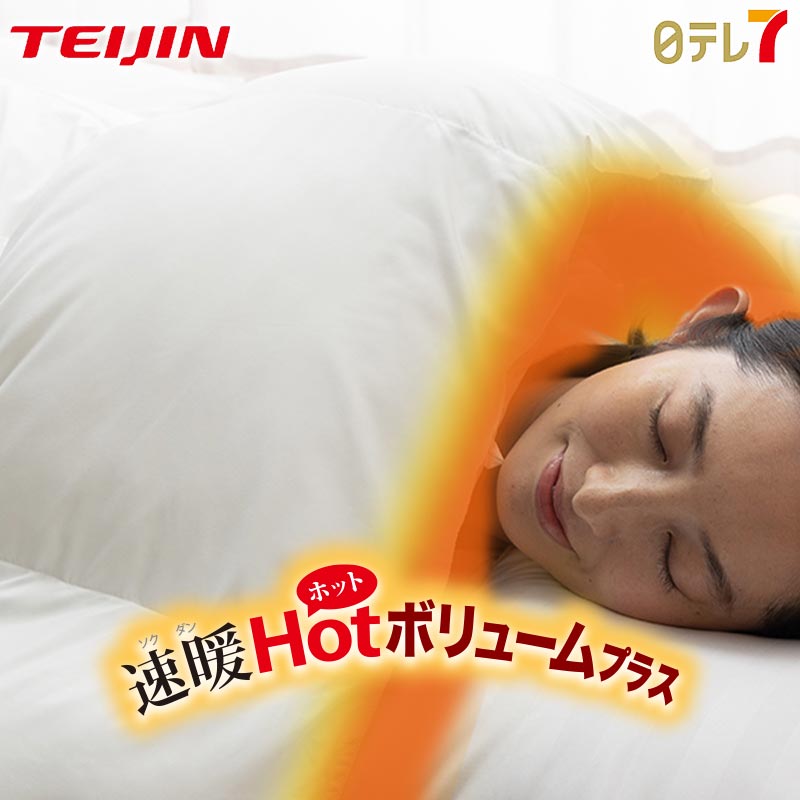 TEIJIN テイジン 極すや 快眠サポート敷寝具
