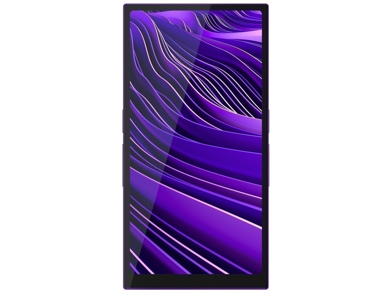 R6 Pro II [64GB Purple] オーディオプレーヤー