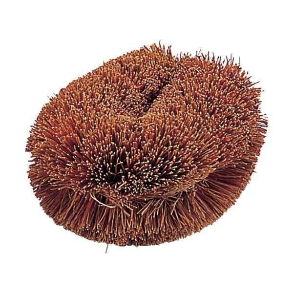 （まとめ）TRUSCOナチュラルブラシ「いがぐり君」 170mm TW-L 1個[x20セット]