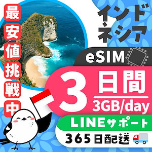 【インドネシアeSIM】簡単設定／使用日数：３日間／データ容量：３GB（day）／有効期限90日／最短即日発行／パスポート番号不要／データ通信専用