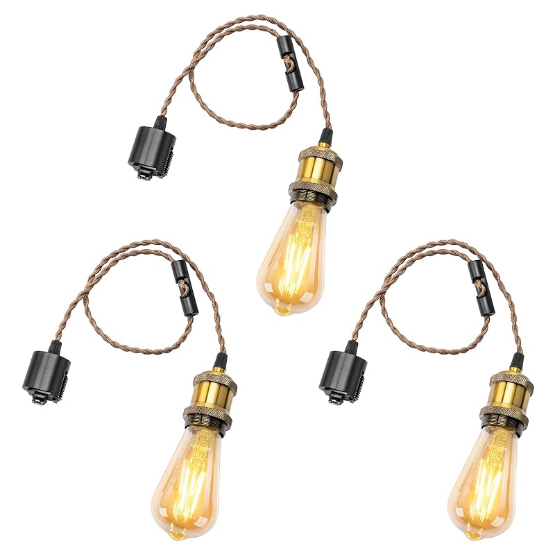 DiCUNO ペンダントライト E26口金 LED電球付き エジソン電球 ダクトレール用 １灯用ペンダントソケット 真鍮色 電球ソケット 天井照明 吊り下げ コード付き 70cm調節可 レトロ アンテ