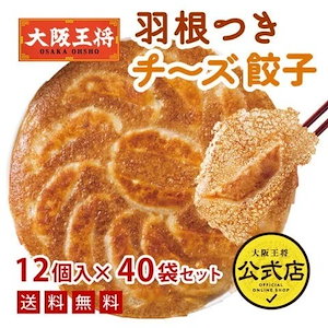 羽根つきチーズGYOZA12個入り40袋（20袋ずつ2ケース）【同梱不可】