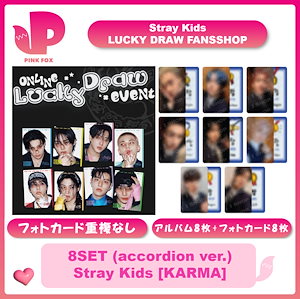 straykids karma skzoo
