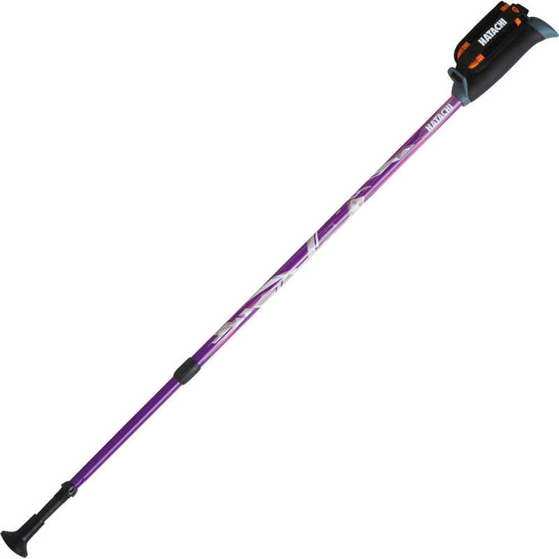 ハタチ　HATACHI DFP プログレッシブズーム(2本組) パープル　WH1120