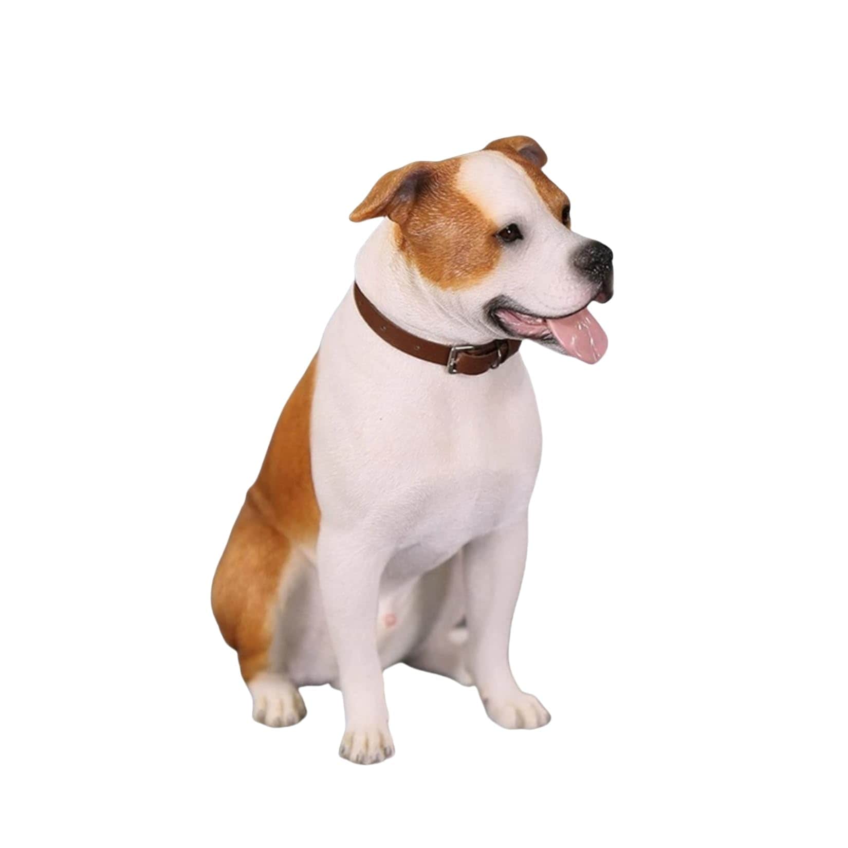 Mr.Z 1/6サイズ アメリカンスタッフォードシャー・テリア アムスタフィー 犬 動物 リアル フィギュア プラモデル 模型 プレゼント プレミアム オリジナル 置物 情景 道具 コレクション 5,427円