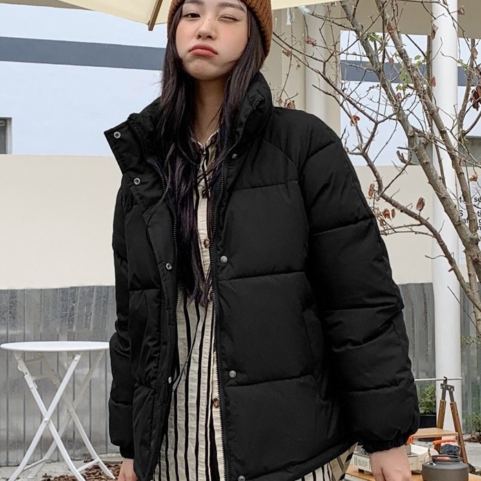 ダウン ジャケット アウター 上着 袖あり 長袖 襟付き スタンドカラー ワイド ファスナー ポケット 前開き 厚手 きれいめ シンプル カジュアル 大人 上品 おしゃれ こなれ感 ラフ 主役級